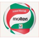 Molten Volleyball School Master V5M-SM