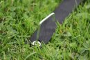 Koordinationsleiter Basic Flach 4 m oder 9 m KO-VX-ALW