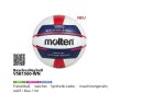 Molten Beachvolleyball V5B1500-WN