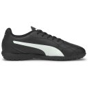 Puma Monarch II TT 106560-01