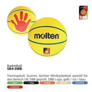 Molten Basketball SB4-DBB
