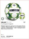 Derbystar Futsal Brillant TT Gr. 4