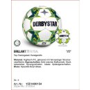 Derbystar Futsal Brillant TT v23 Gr. 4