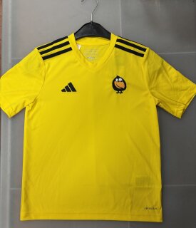 Adidas KHTC Trikot Entrada 22 Jugend gelb IA0428