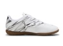 Puma Attacanto IT JR 107482-05 Indoor Fußballschuh