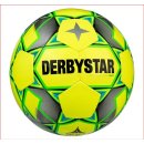 Derbystar Futsal Basic Pro Junior