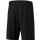 Erima TEAM Shorts without inner Slip 2152401