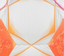 Derbystar Fußball Bundesliga Club S-Light/Light