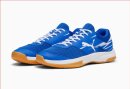 Puma Varion II Hallenschuh 107341-03
