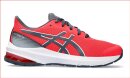 Asics GT-1000 12 GS 1014A296-700