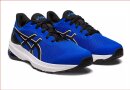 Asics GT-1000 12 GS 1014A296-402