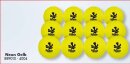Reece Hockey Indoor Ball 889010