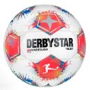 Derbystar Fußball Bundesliga Player v25 +...