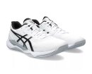 Asics Gel-Tactic 12 Hallenschuh HE 1071A090 100