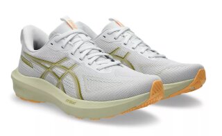 Asics GT-1000 14 HE Laufschuh 1011C077-100