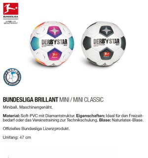 Derbystar 2. BL Brillant Mini Classic Fußball Miniball  47cm 4310000024