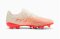 Puma Future 9 Play FG/AG Fußballschuh 109170-01