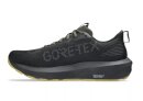 Asics GT-1000 14 GTX HE Laufschuh 1011C078-001