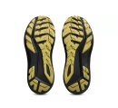 Asics GT-1000 14 GTX HE Laufschuh 1011C078-001