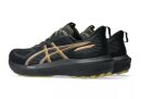Asics GT-1000 14 GTX HE Laufschuh 1011C078-001