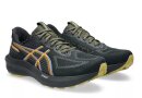 Asics GT-1000 14 GTX Laufschuh 1011C78-001
